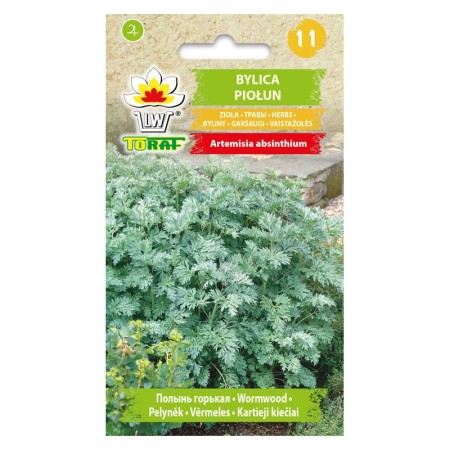 Bylica piołun nasiona