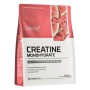 OstroVit Creatine Monohydrate 500g | ietsGezond.nl