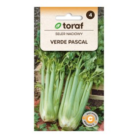 Celery Verde Pascal seeds | ietsGezond.nl