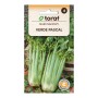 Celery Verde Pascal seeds | ietsGezond.nl