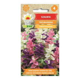 Salvia horminum Driekleurig