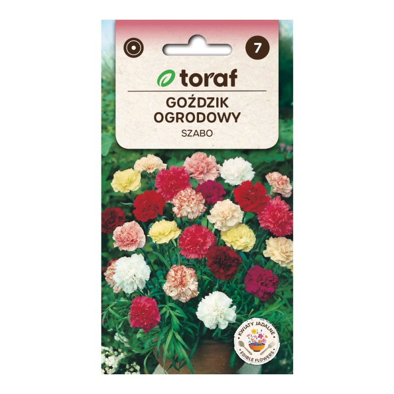 Garden carnation Szabo | Flower Seeds