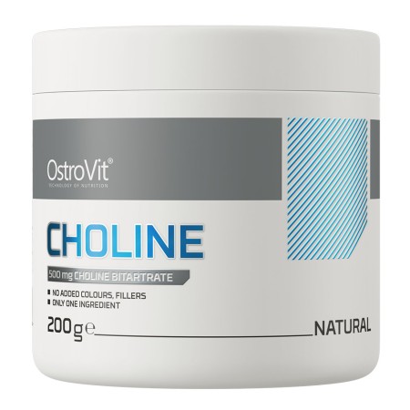 Buy OstroVit Choline 200 g (powder) | ietsGezond.nl
