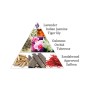 Aromafume Incense cubes 9+1 – Ash-free & Minimal Smoke | ietsGezond.nl
