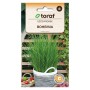 Buy Garlic Chives - Aromatic & Decorative - ietsGezond.nl