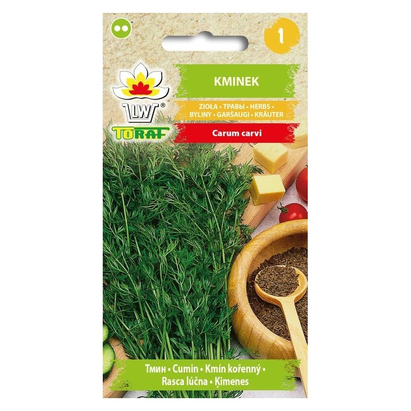 Karwijzaad | Groentezaden om te planten