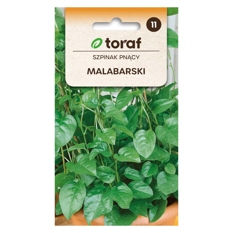 Spinach climbing Malabar | Vegetable seeds