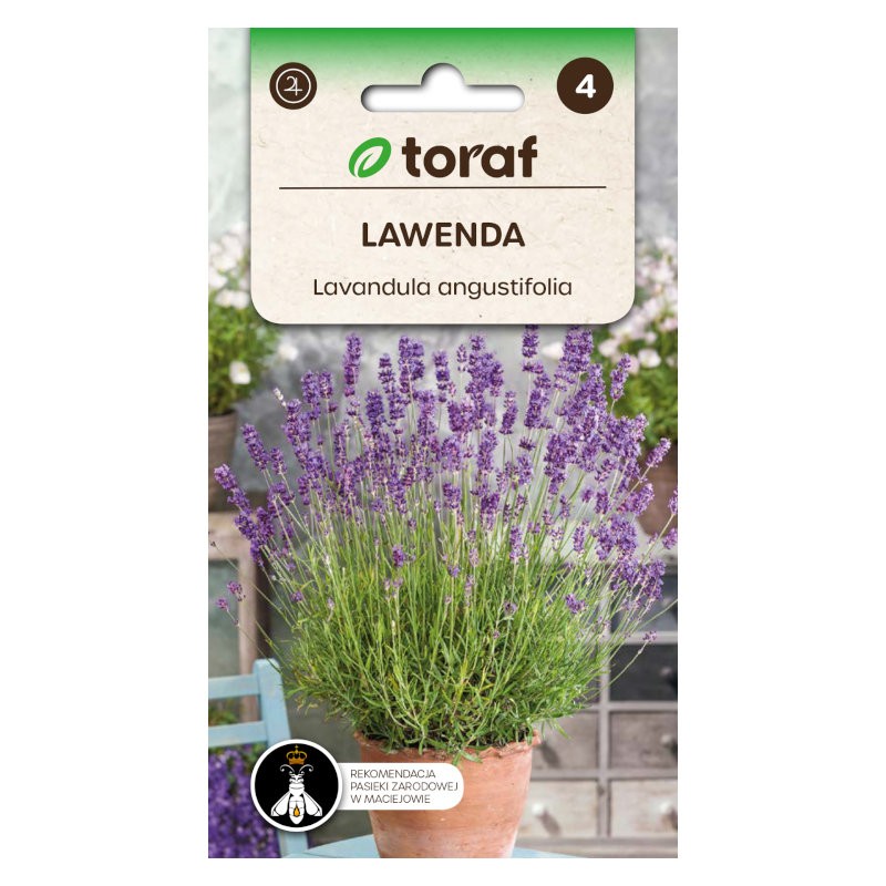 Lavendel | Bloemenzaden