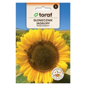 Zonnebloem gestreept | Zaden om te planten