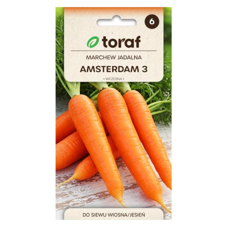 Carrot Amsterdam 3 | Vegetable seeds