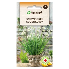 Kup Czosnkowy Szczypiorek - Aromatyczny & Dekoracyjny - ietsGezond.nl