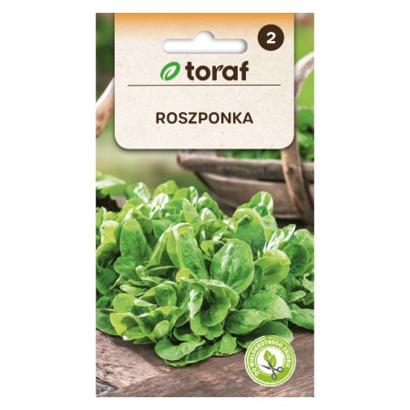 Roszponka polna | Nasiona warzyw