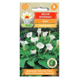 Trompetplant Wit | Bloemenzaden