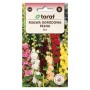 Hollyhock Mix - Alcea Rosea | Flower Seeds