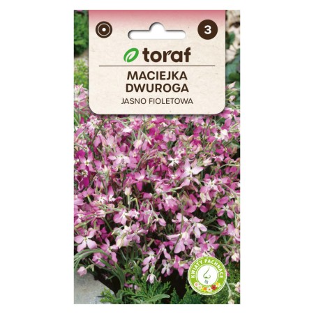 Evening Stock - Annual Plant with Fragrant Flowers