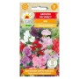 Sweet Pea mixture | Flower Seeds