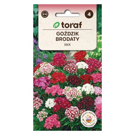 Bearded carnation mix | Flower Seeds