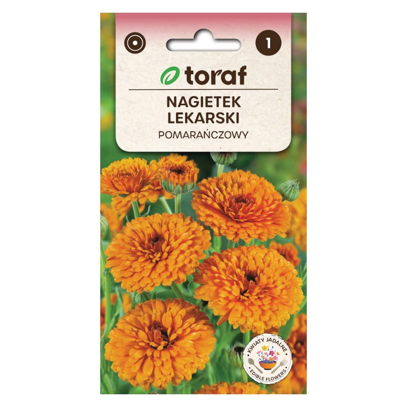 Calendula orange | Flower Seeds