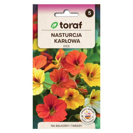 Compact Dwarf Plants with Gold-Orange Flowers for Sale