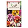 Pansy rokoko mixture Rokoko | Flower Seeds