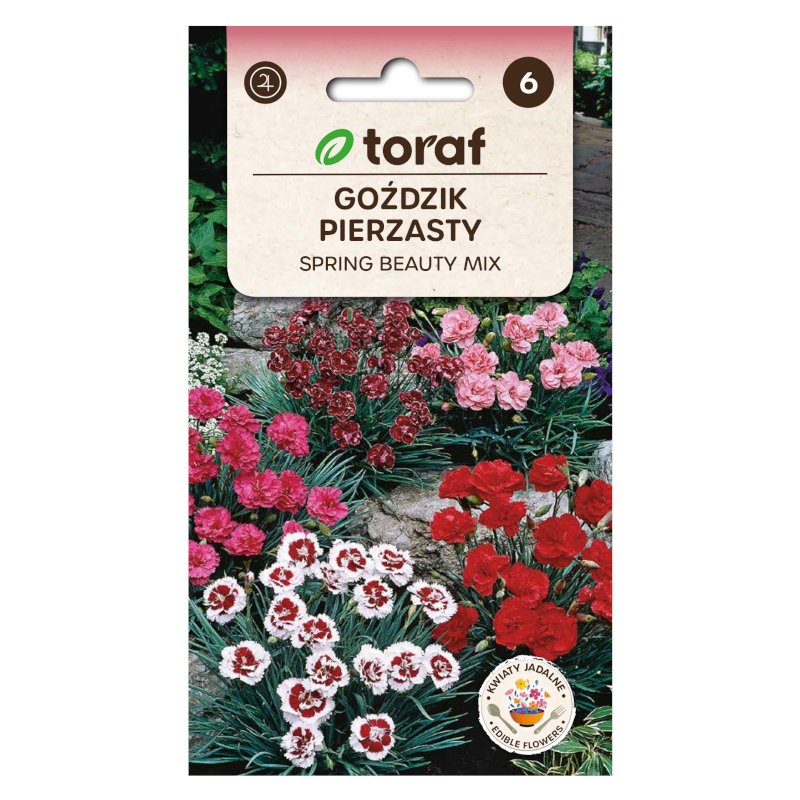 Cottage Pink Spring Beauty | Flower Seeds