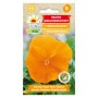 Pansy | Orange | Flower Seeds