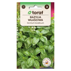 Nasiona Ziół Bazylii - Aromatyczne Przyprawy w ietsGezond.nl
