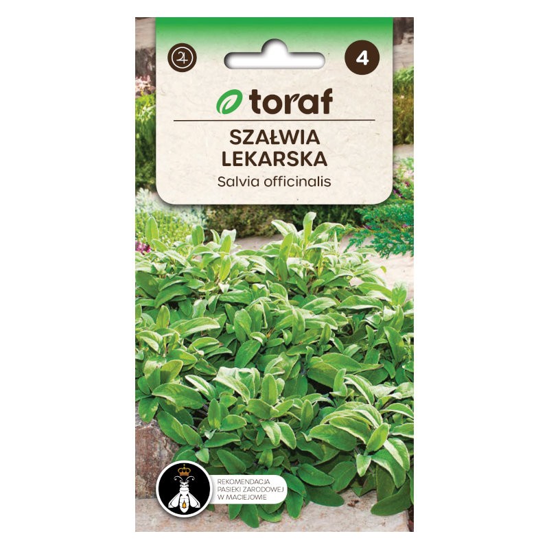 Salvia | Herbs seeds