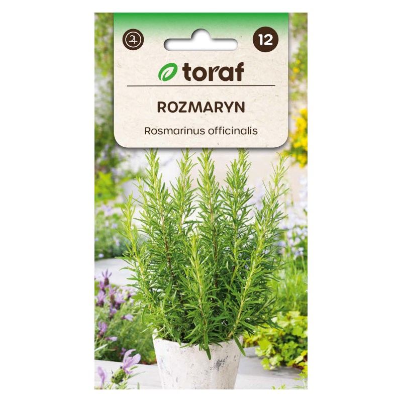 Rosemary | Herbs seeds