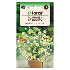 Chamomile Common | Herbs seeds