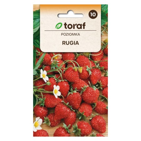 Bosaardbei Rugen | Zaden om te planten