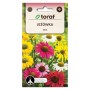 Coneflowers Mix | Flower Seeds