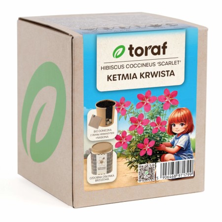 Scarlet rosemallow | Growing Kit