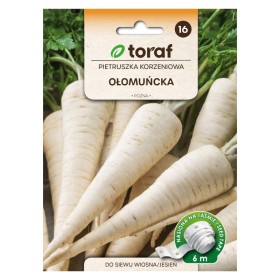 Olomouc root parsley | Vegetable seeds on tape