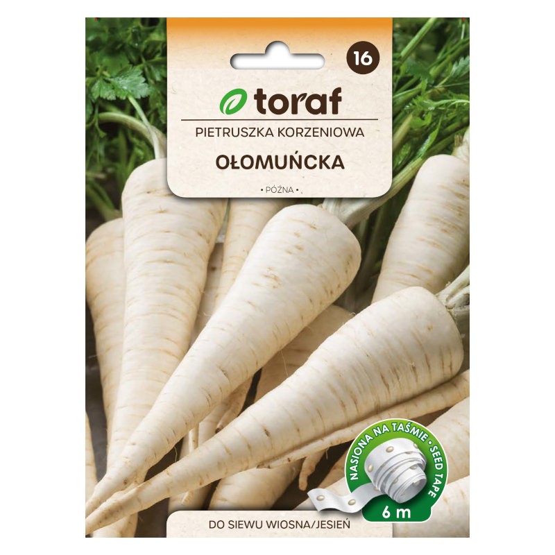 Olomouc root parsley | Vegetable seeds on tape