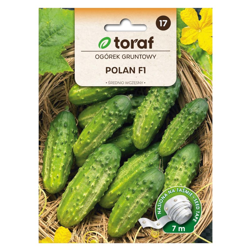 Field cucumber Polan F1 | Vegetable seeds on tape