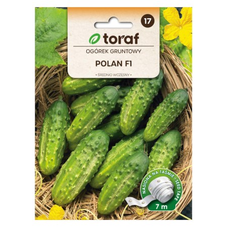 Field cucumber Polan F1 | Vegetable seeds on tape