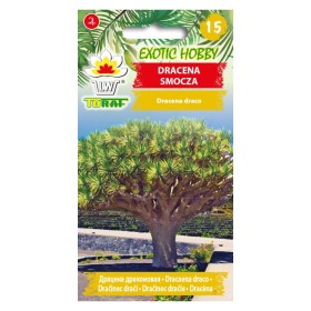 Dracena smocza | Nasiona egzotyczne