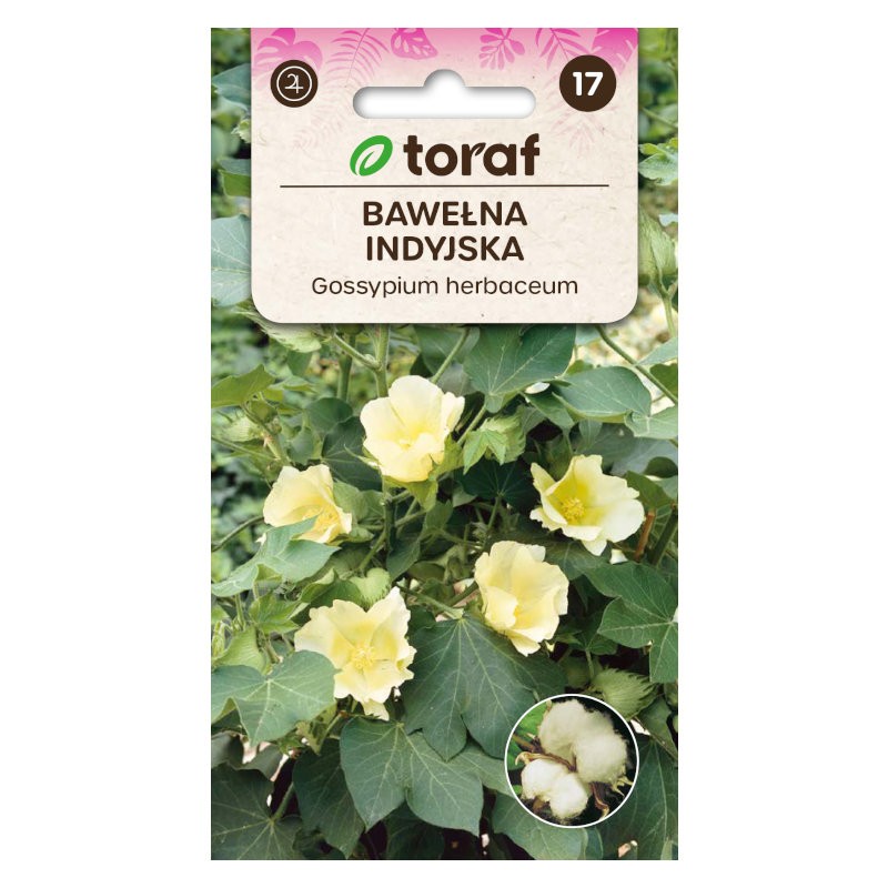 Levant cotton | Exotic seeds