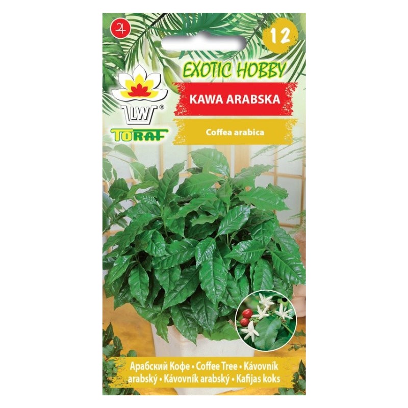 Arabica-koffie | Exotic zaden