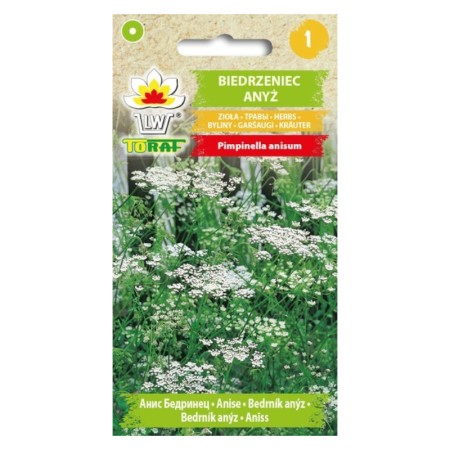 Kup Bylica piołun - Tradycyjna i Aromatyczna