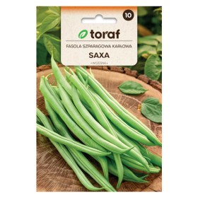 Sperzieboon Groen Saxa | Groentezaden
