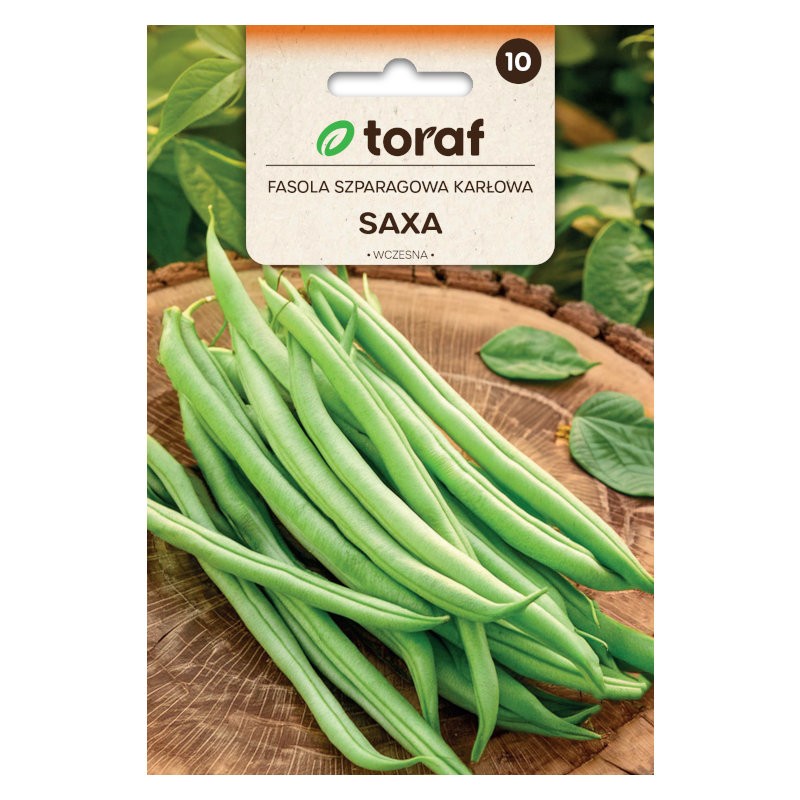 Bush bean Green Saxa | Vegetable seeds