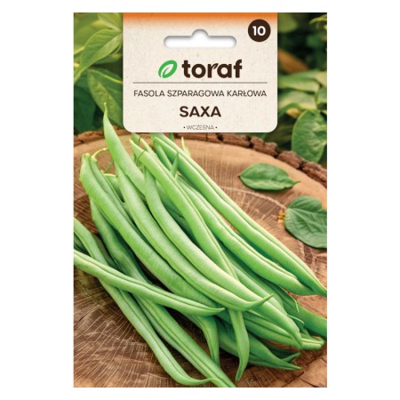 Bush bean Green Saxa | Vegetable seeds