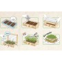 Buy Microgreens growing kit? Easily Germinate Seeds at Home with ietsGezond.nl