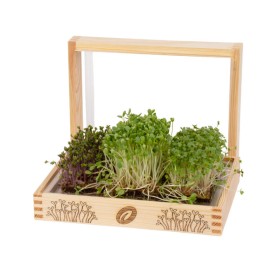 YE!greens | Kweekset voor microgroenten