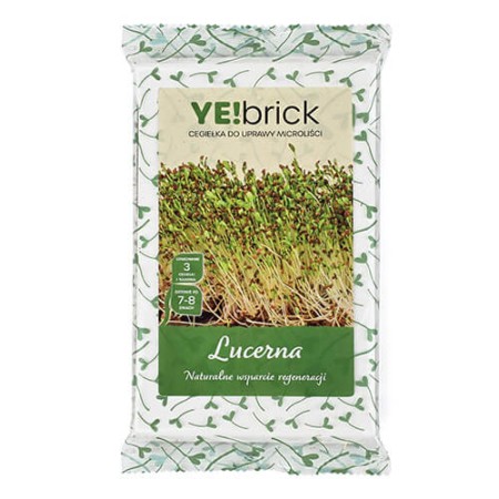 YE!brick | Cegiełki do zestawu YE!greens | ietsGezond.nl