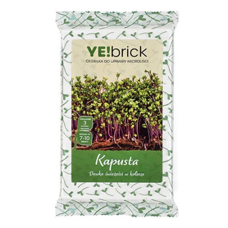 YE!brick | Steentjes voor de YE!greens-set | ietsGezond.nl