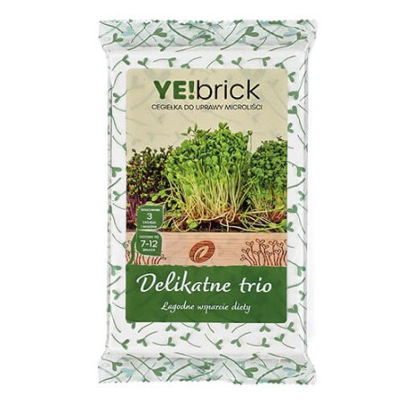 YE!brick | Steentjes voor de YE!greens-set | ietsGezond.nl