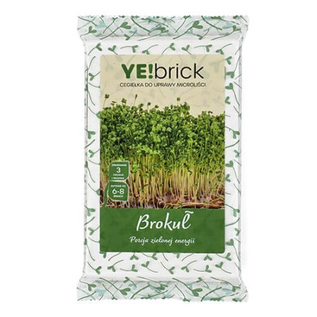 YE!brick | Bricks for the YE!greens set | ietsGezond.nl